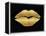 Gold Leaf Kiss-Tina Lavoie-Framed Premier Image Canvas