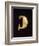 Gold Leech-Shaped Fibula from Bologna-null-Framed Giclee Print