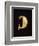 Gold Leech-Shaped Fibula from Bologna-null-Framed Giclee Print