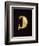 Gold Leech-Shaped Fibula from Bologna-null-Framed Giclee Print