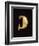 Gold Leech-Shaped Fibula from Bologna-null-Framed Giclee Print