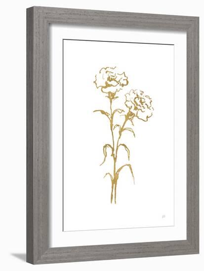 Gold Line Carnation II-Chris Paschke-Framed Art Print