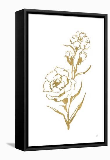 Gold Line Carnation III-Chris Paschke-Framed Stretched Canvas