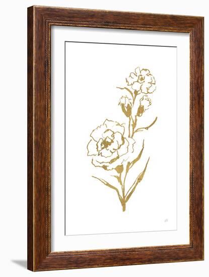 Gold Line Carnation III-Chris Paschke-Framed Premium Giclee Print