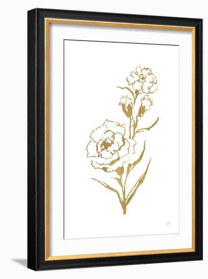 Gold Line Carnation III-Chris Paschke-Framed Art Print