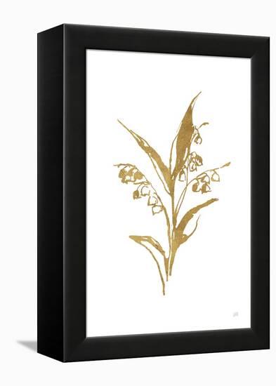 Gold Line Lily of the Valley I-Chris Paschke-Framed Stretched Canvas