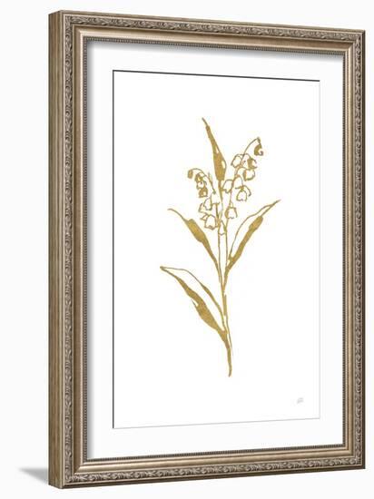 Gold Line Lily of the Valley II-Chris Paschke-Framed Art Print