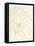 Gold Magnolia Line Drawing v2 Crop-Moira Hershey-Framed Stretched Canvas