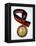 Gold Medal-Paul Sutton-Framed Premier Image Canvas