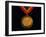 Gold Medal-Paul Sutton-Framed Photographic Print