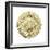 Gold Motif I-Edward Selkirk-Framed Premium Giclee Print