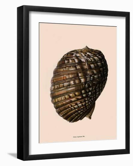 Gold-Mouthed Tun-W Dunker-Framed Giclee Print