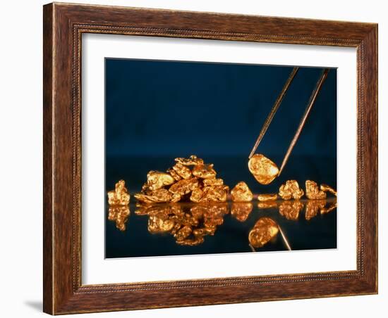 Gold Nugget Held In Tweezers-David Nunuk-Framed Photographic Print