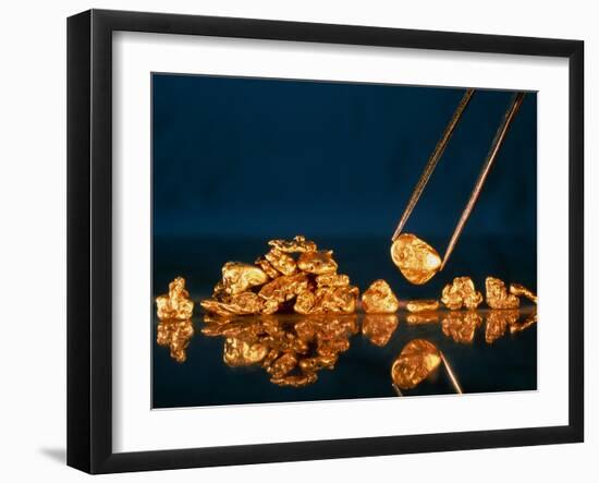 Gold Nugget Held In Tweezers-David Nunuk-Framed Photographic Print