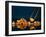 Gold Nugget Held In Tweezers-David Nunuk-Framed Photographic Print