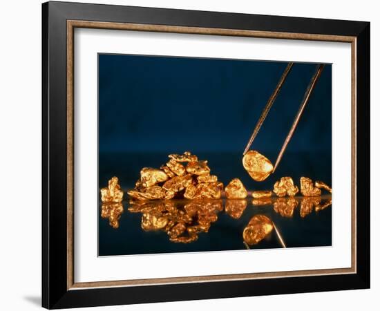 Gold Nugget Held In Tweezers-David Nunuk-Framed Photographic Print