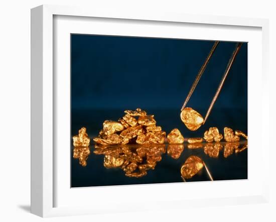 Gold Nugget Held In Tweezers-David Nunuk-Framed Photographic Print