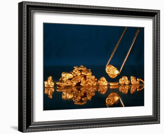 Gold Nugget Held In Tweezers-David Nunuk-Framed Photographic Print