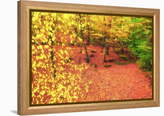 Gold of Val-Viviane Fedieu Daniel-Framed Premier Image Canvas