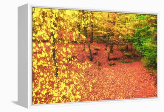 Gold of Val-Viviane Fedieu Daniel-Framed Premier Image Canvas