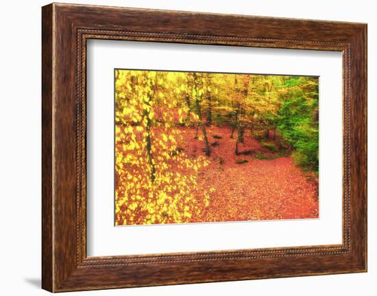 Gold of Val-Viviane Fedieu Daniel-Framed Photographic Print