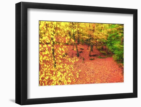 Gold of Val-Viviane Fedieu Daniel-Framed Photographic Print