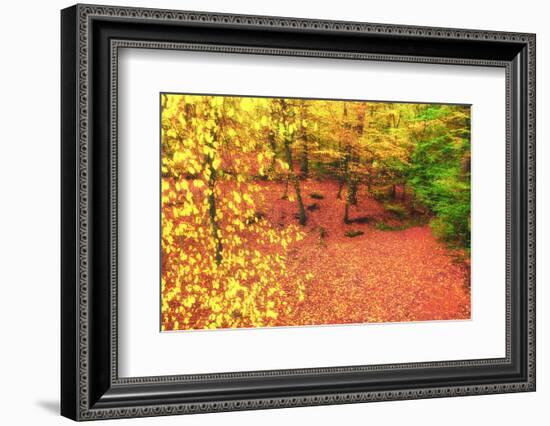 Gold of Val-Viviane Fedieu Daniel-Framed Photographic Print