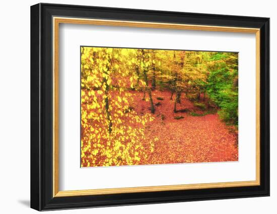 Gold of Val-Viviane Fedieu Daniel-Framed Photographic Print