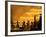 Gold-Painted Dancers Perform Amid Golden Statues-null-Framed Photographic Print