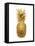 Gold Pineapple II-Kate Bennett-Framed Stretched Canvas