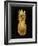 Gold Pineapple on Black II-Kate Bennett-Framed Art Print