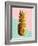 Gold Pineapple with Retro Shapes-cienpies-Framed Art Print