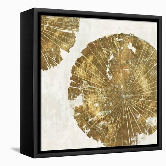 Gold Plate I-PI Studio-Framed Stretched Canvas