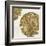 Gold Plate I-PI Studio-Framed Art Print