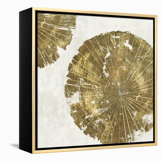 Gold Plate I-PI Studio-Framed Stretched Canvas