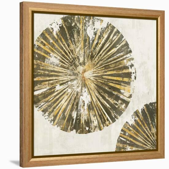 Gold Plate II-PI Studio-Framed Stretched Canvas