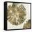 Gold Plate II-PI Studio-Framed Stretched Canvas