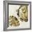 Gold Plate III-PI Studio-Framed Art Print