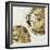 Gold Plate III-PI Studio-Framed Art Print