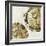 Gold Plate III-PI Studio-Framed Art Print