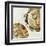 Gold Plate III-PI Studio-Framed Art Print