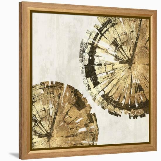 Gold Plate III-PI Studio-Framed Stretched Canvas