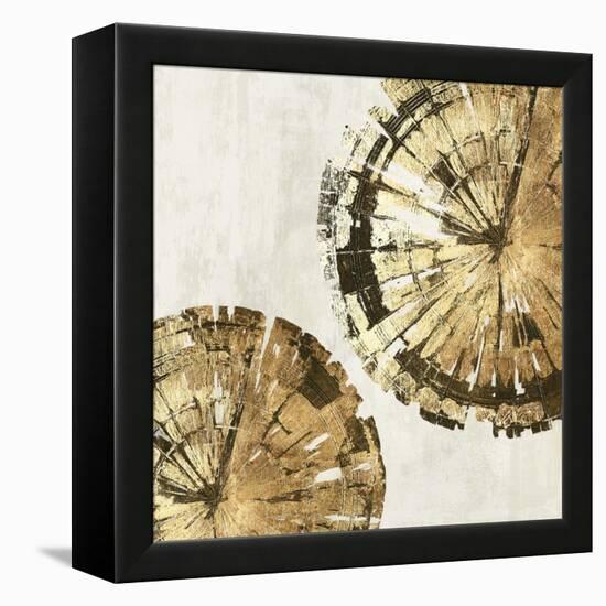 Gold Plate III-PI Studio-Framed Stretched Canvas