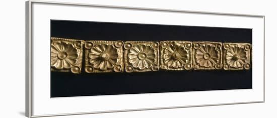 Gold Plate Links, from Veio-null-Framed Giclee Print