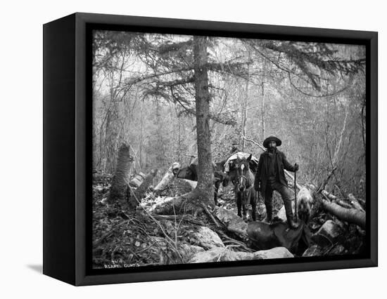 Gold Prospector Traveling For Supplies, Undated-Asahel Curtis-Framed Premier Image Canvas