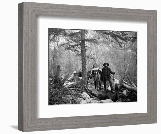 Gold Prospector Traveling For Supplies, Undated-Asahel Curtis-Framed Giclee Print