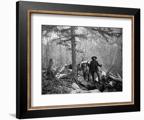 Gold Prospector Traveling For Supplies, Undated-Asahel Curtis-Framed Giclee Print