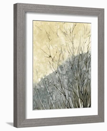 Gold Ridge-null-Framed Giclee Print