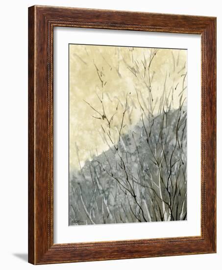 Gold Ridge-null-Framed Giclee Print