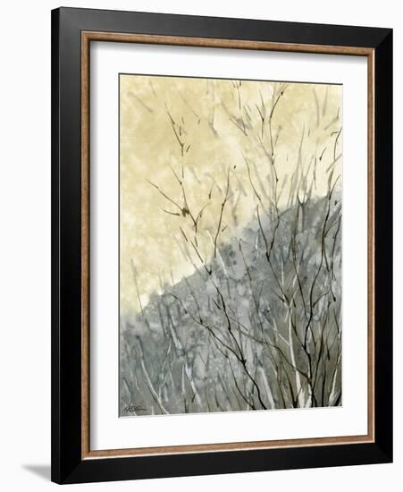 Gold Ridge-null-Framed Giclee Print